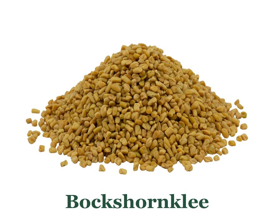 Bockshornklee: von der Pflanze zum Gewürz