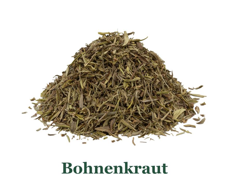 Bohnenkraut: so verwenden Sie es in der Küche