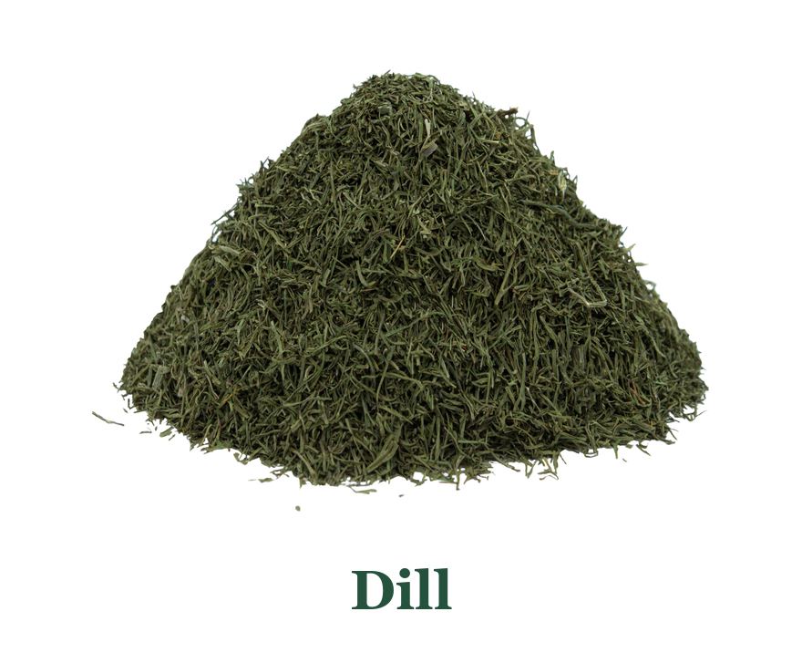 Dill: von der Pflanze zum Gewürz
