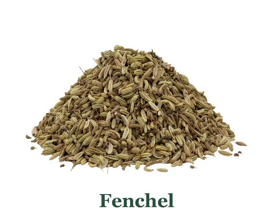 Fenchel: so verwenden Sie es in der Küche