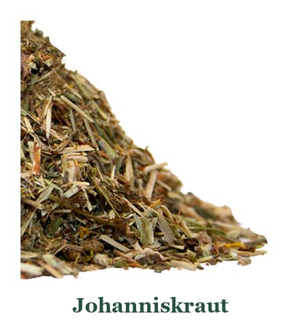 Johanniskraut: so verwenden Sie es in der Küche