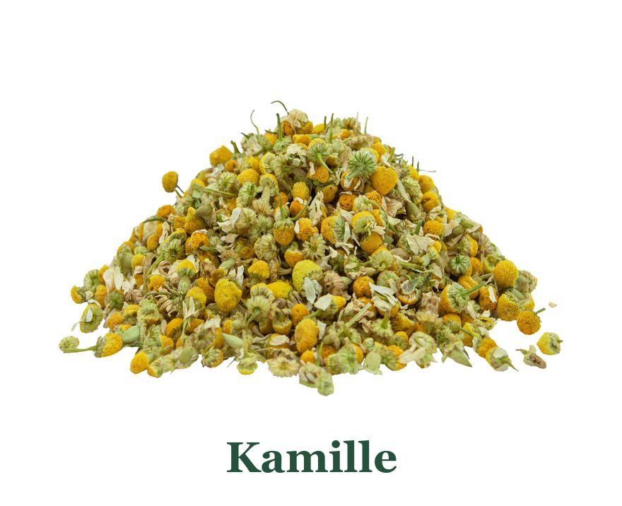 Kamille für Tee