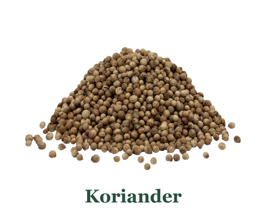 Koriander: so verwenden Sie es in der Küche