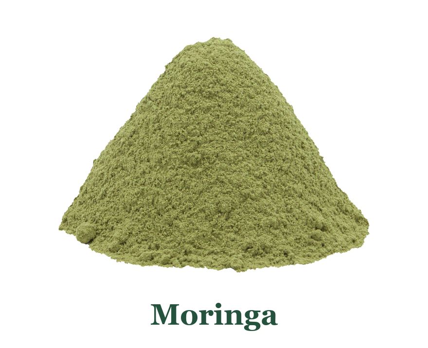 Moringa: so verwenden Sie es in der Küche