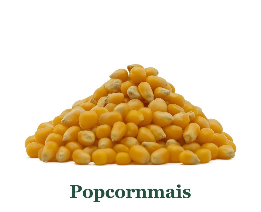 Popcornmais: so verwenden Sie es in der Küche