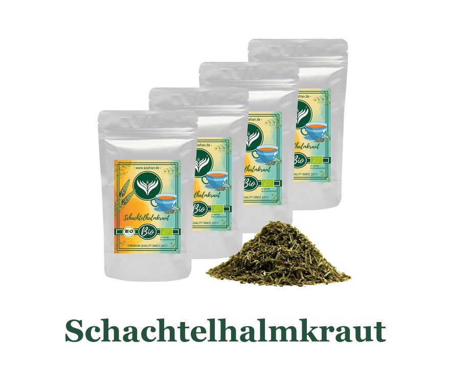 Schachtelhalmkraut: so verwenden Sie es in der Küche