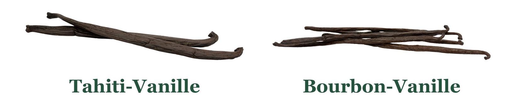 Bourbon-Vanille und Tahiti-Vanille im Vergleich