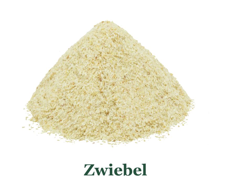 Zwiebel: von der Pflanze zum Gewürz