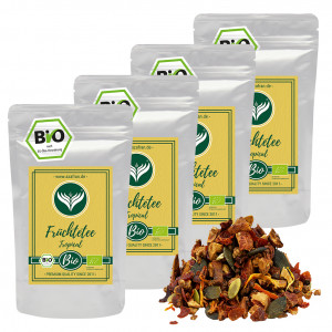 BIO-Früchte Tee Tropical (1kg)