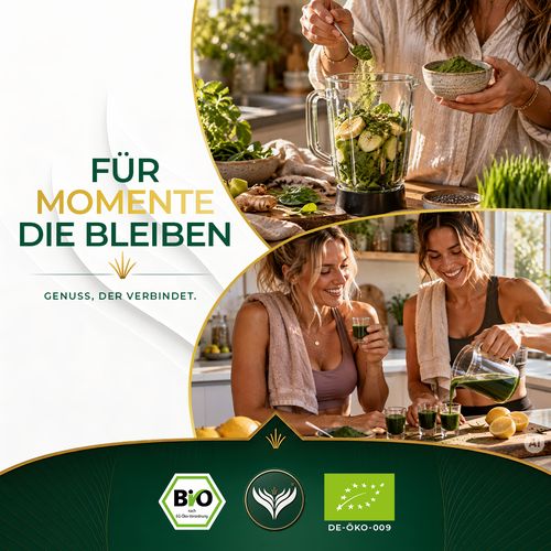 BIO Weizengras Pulver (500g)