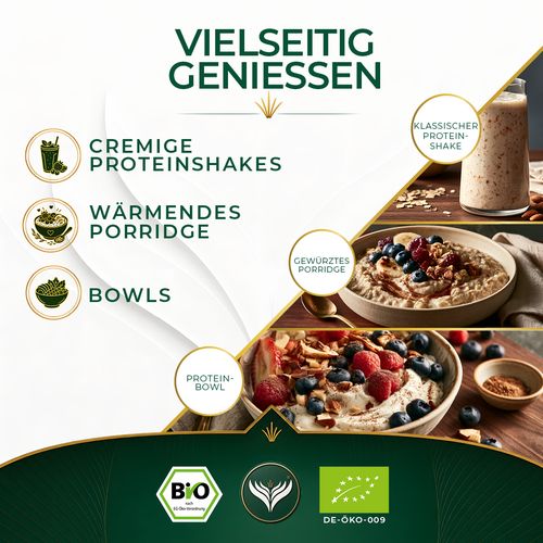 BIO Proteinshake Gewürz (50g)