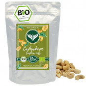 BIO Cashewkerne 1kg